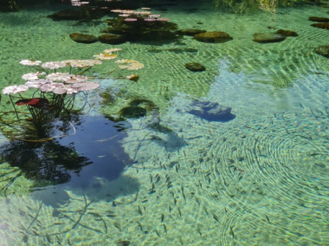  - 1 - DESMY - Água Desmineralizada